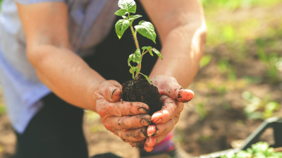 Design sans titre (85).png