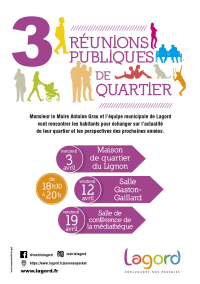 REUNIONS PUBLIQUES