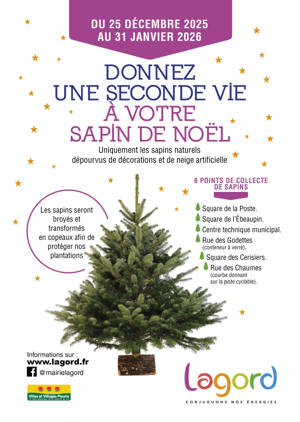 SAPINS DE NO&Euml;L