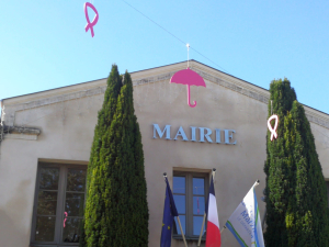 COMMISSION DE CONTR&Ocirc;LE DES LISTES &Eacute;LECTORALES