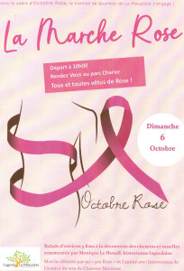 octobre rose 2024.jpg