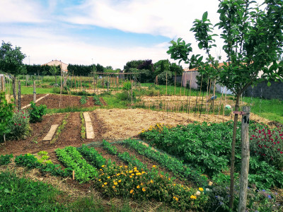 jardins-partages (1).jpg