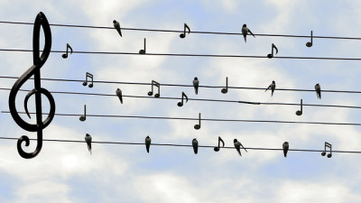 birds-2672101_640.jpg
