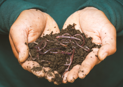 atelier-initiation-compost.png