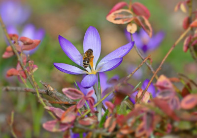 Design sans titre (23).jpg