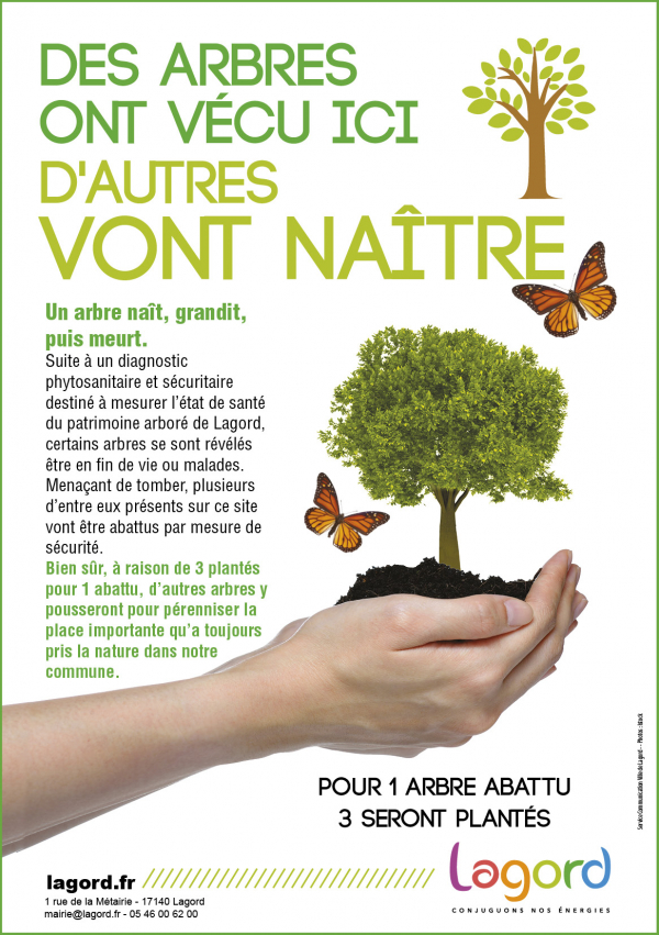 ABATTAGE D&#039;ARBRES