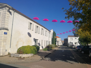 OCTOBRE ROSE ET SEMAINE BLEUE