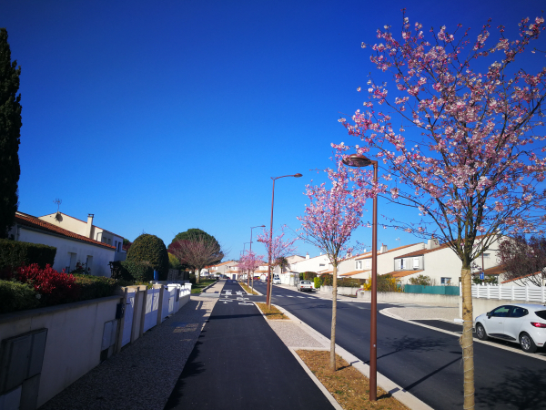 RUE DES CERISIERS